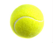 tennisbal3.jpg